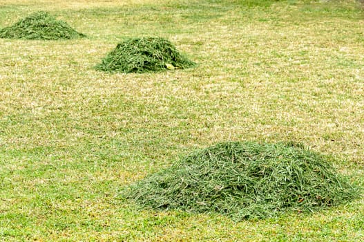 Haystack in the field 