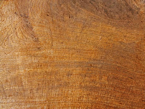 Wooden planks texture . Wooden background.