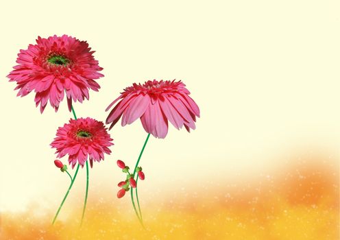 Beautiful pink flowers on a abstract background