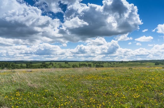 Spring meadow with clouds floating over it