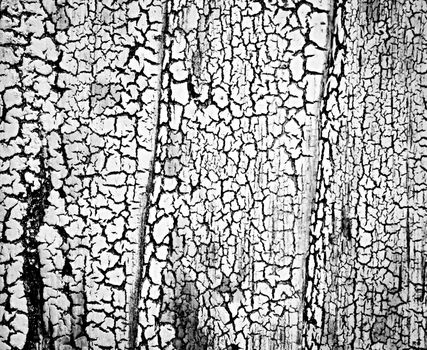 abstract background or texture black cracks on white coatings