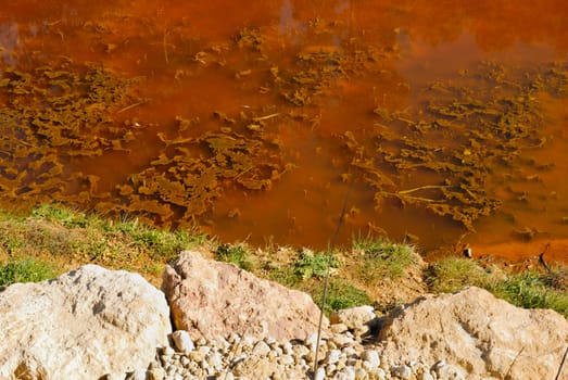 The river Tinto  located in Niebla, in Huelva (Spain). Its waters are red due to high content of heavy metals.