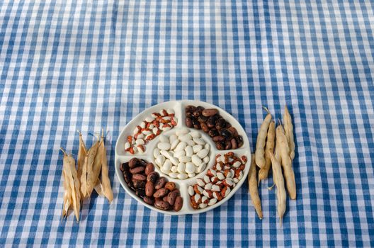 white clay plate with winter dried beans mix and pod on checked tablecloth
