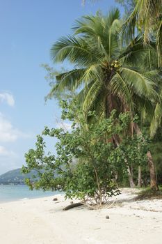 Beach on Koh Samui, Thailand, Southeast Asia