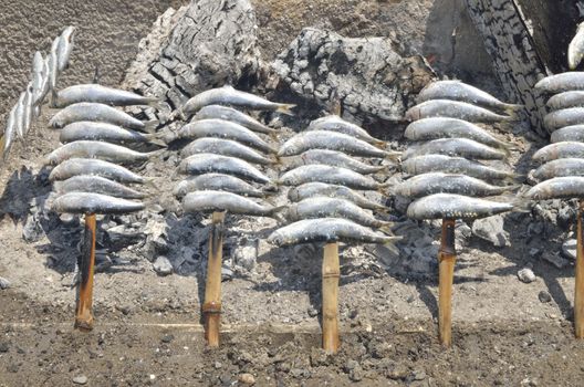 Rows of sardines on a wooden skewer in the beach of Marbella, Spain