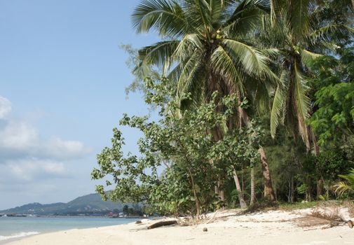 Beach on Koh Samui, Thailand, Southeast Asia