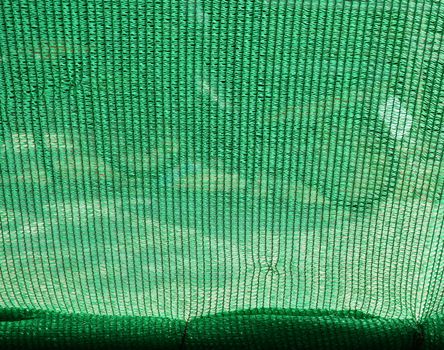 Green mesh was sticked it outside the house to protect the sun shines down too hard.                              