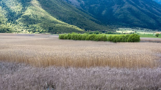 Landscape of Stymfalia Lake in Peloponnese, Greece