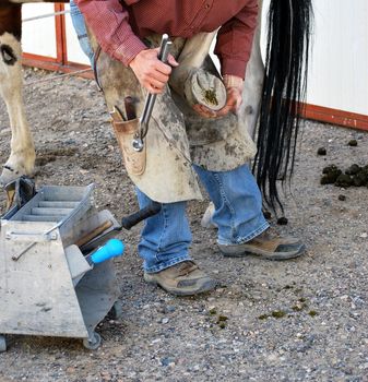 Male farrier working on a horseshoe.