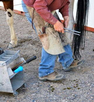 Male farrier working on a horseshoe.