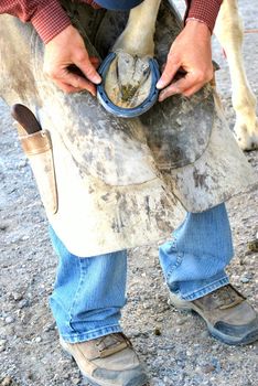 Male farrier working on a horseshoe.