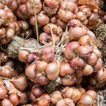 onions close-up