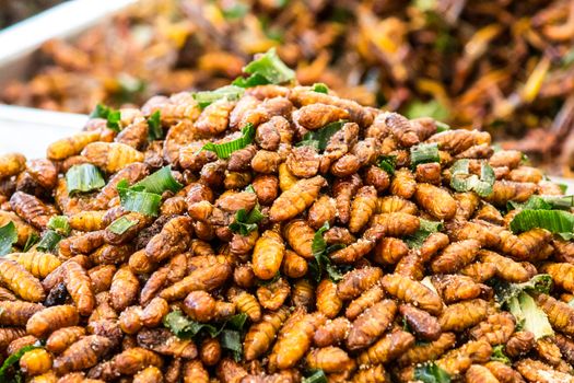 This is an insect fried foods that are high protein and very delicious