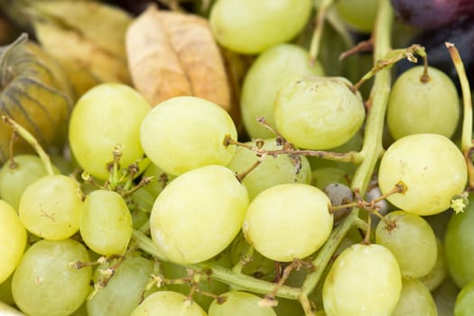 Closeup of a green grape background with some grapes already eaten