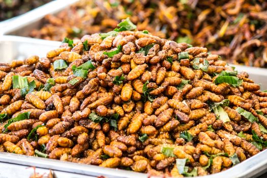 This is an insect fried foods that are high protein and very delicious