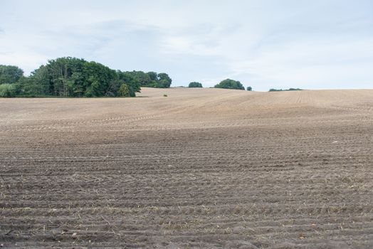 Brown ploughed field under cloudy sky after harvest with hills and forest