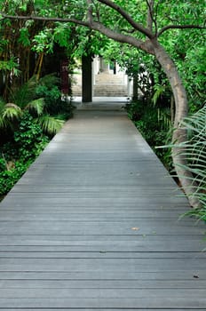 Wood Walk way in the garden of Thailand