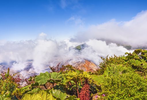 Photograph showing contrast between lush vegetation and the stark landscape of the volcano.
