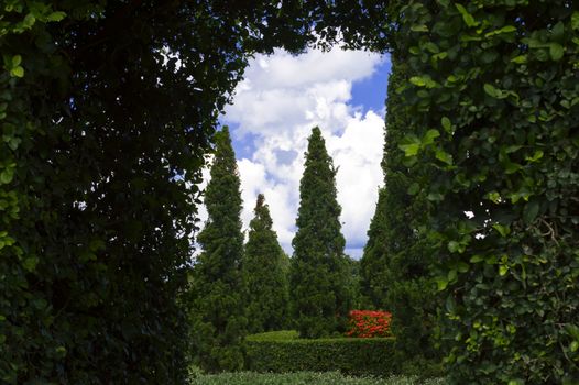 Arch, Sky, Flowers in the Garden. Pattaya Thailand