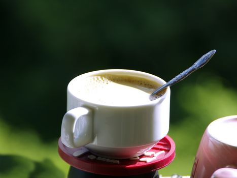 Coffee Cap on Green Leaves Background. Pattaya.