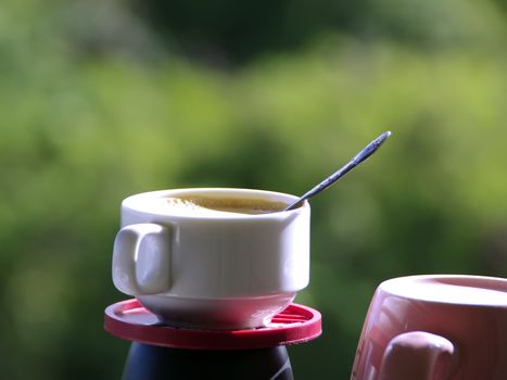 Cap of Coffee on Green Leaves Background.