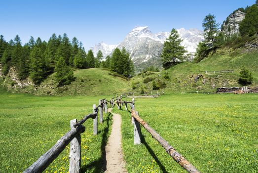 Devero Alp near the village of Crampiolo, Piedmont - Italy