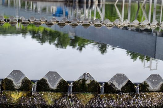 Closeup of last sewage waste water treatment stage filtration sedimentation. Drinkable water flow.