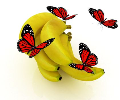 Red butterflys on a bananas on a white background 