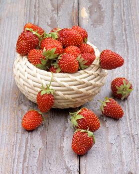 Fresh Ripe Forest Strawberries in Wicker Bowl isolated on Rustic Wooden background