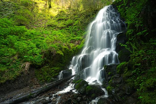 waterfall in oregon rain forest near portland