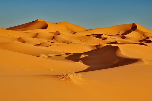 Merzouga desert in Morocco