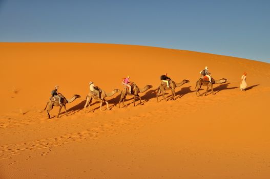MERZOUGA DESERT - OCTOBER 01: Tourists in a Camel caravan in Merzouga Desert, Morocco on October 01, 2013.