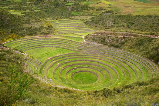 Inca ancient agriculture test farm in Peru