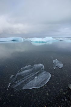 icebergs float in a glacial lake in Southern Iceland