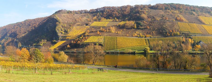 Moseltal bei Traben-Trarbach Wolf und Rissbach Panorama