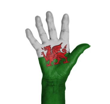 Hand symbol, saying five, saying hello or saying stop, Wales
