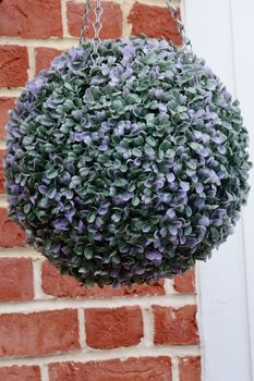 Round hanging basket plant