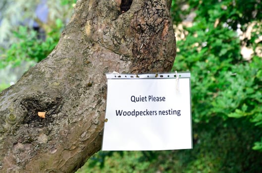 Nesting warning sign