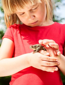 Little girl looking at true toad sitting on her hand