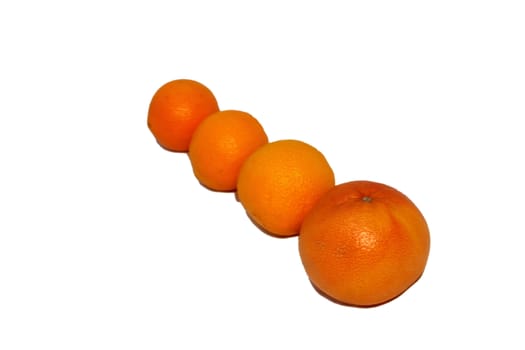 Lie on a white background in a row and three oranges greyptfrut