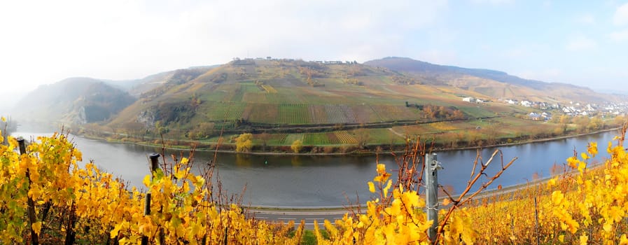 Moseltal bei Burg und Reil Panorama im Herbst
