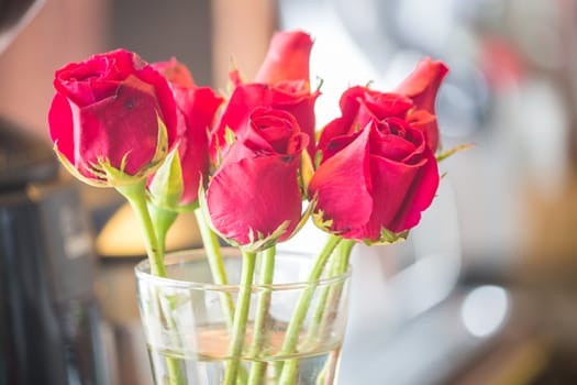 Blossoming red roses in vase, stock photo