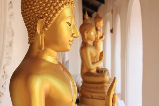 Buddha statue at Phra Prathom Jedi, Thailand