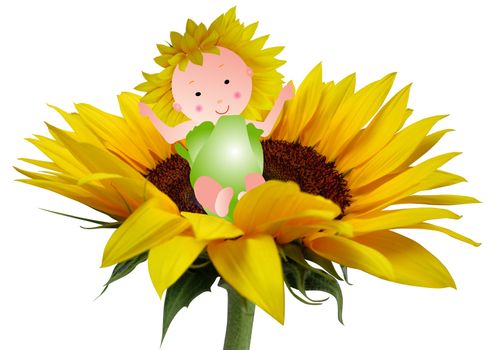 Cute baby sitting in a big sunflower isolated on white