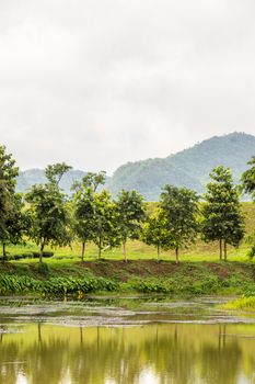 nature landscape at the lake with cloudy sky