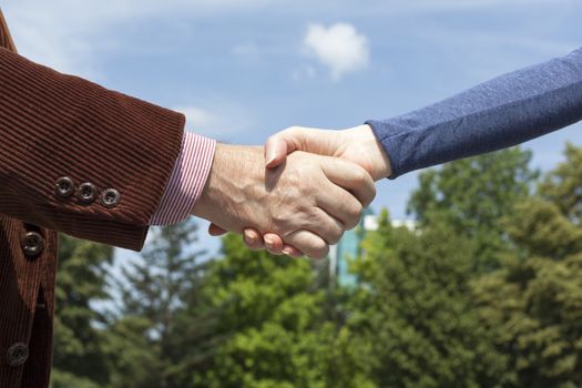 A man and a woman shaking hands against the blue sky and green trees