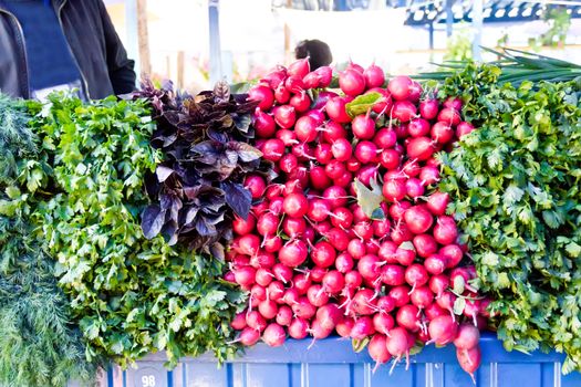 Photo of background fresh radish and foliage