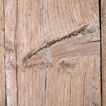 Wooden texture, wood background with dark edges