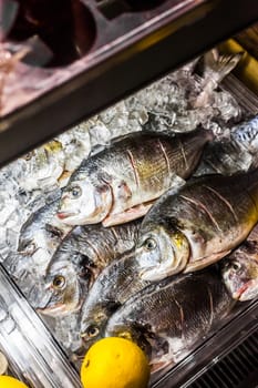 Raw Fish Counter in a Portuguese restaurant