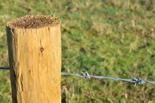 Barbed wire with Post